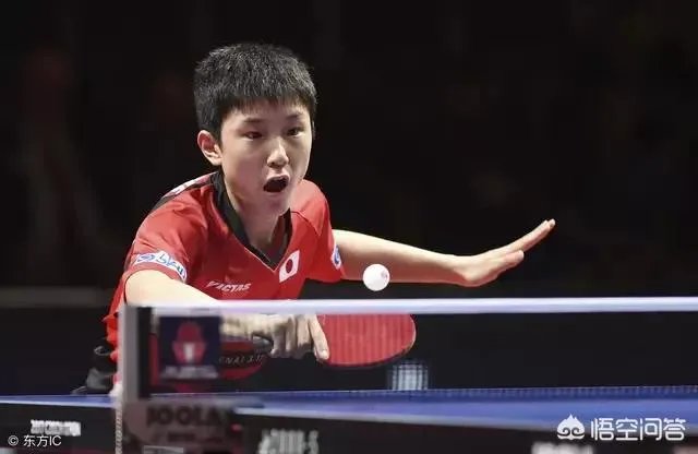 华裔小将张本每天叫嚣要战胜中乒乓球队，却在四强被卡尔完虐，都没有吼叫，你怎么看？