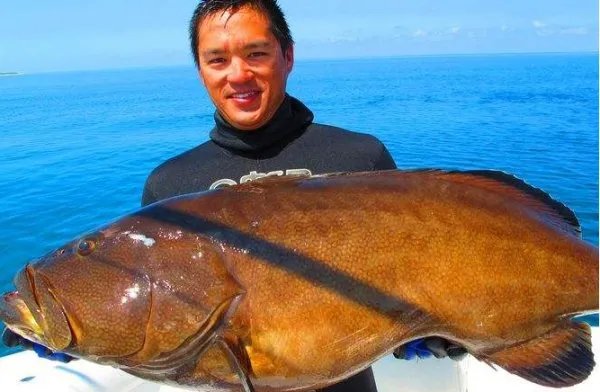 流入长沙市场的怪鱼是哪里来的？