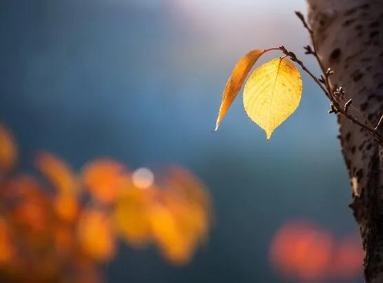 立秋是什么意思含义 立秋意味着什么