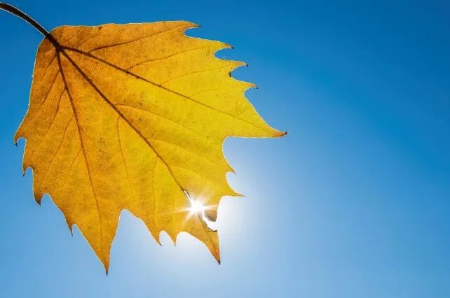 9月发的朋友圈文案说说 9月份发的朋友圈说说文案大全