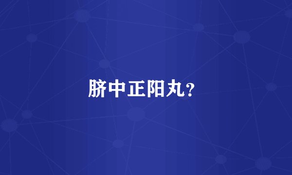 脐中正阳丸？