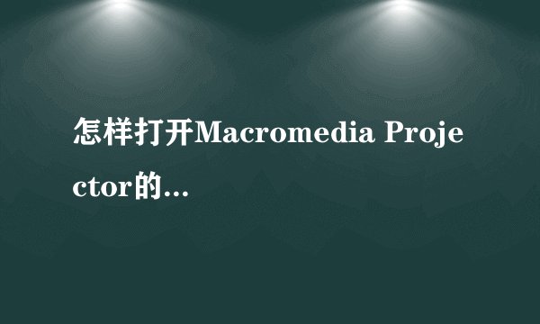 怎样打开Macromedia Projector的EXE程序