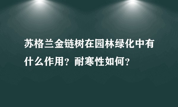 苏格兰金链树在园林绿化中有什么作用？耐寒性如何？