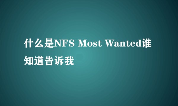 什么是NFS Most Wanted谁知道告诉我