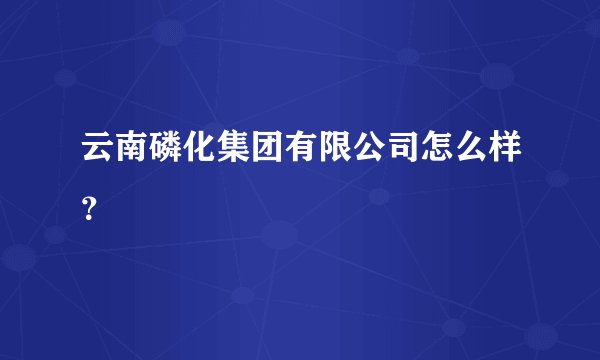 云南磷化集团有限公司怎么样？