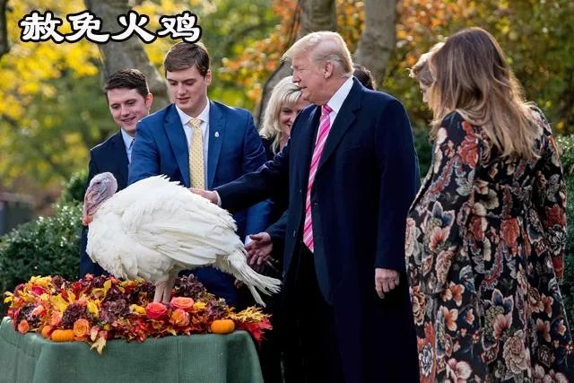 美国人如何庆祝感恩节？一定要吃火鸡吗？