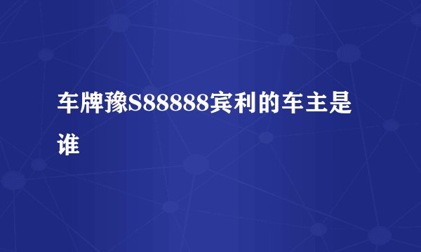 车牌豫S88888宾利的车主是谁