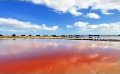 中国死海变玫瑰湖是怎么回事？