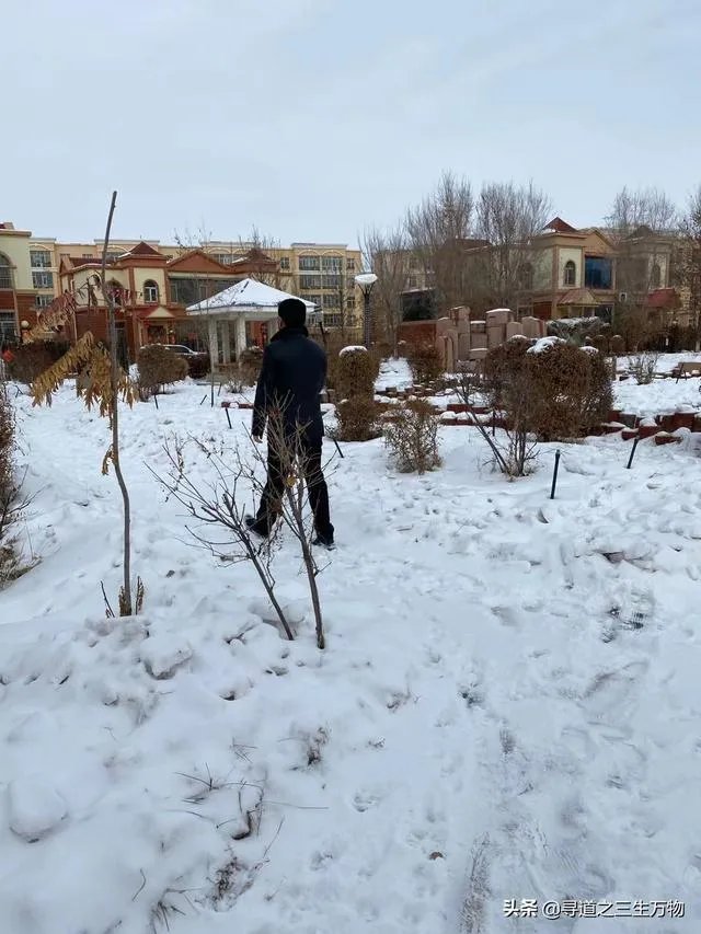 各位可以分享一下创业经验吗？