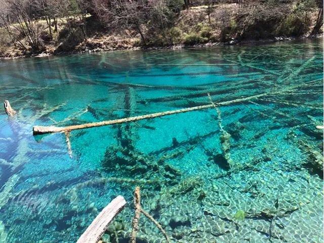 九寨沟地震过后又形成新的景点，你还会去吗？
