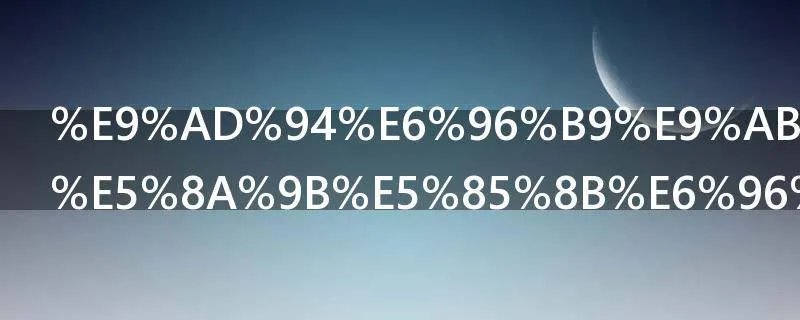 魔方高手菲力克斯的资料