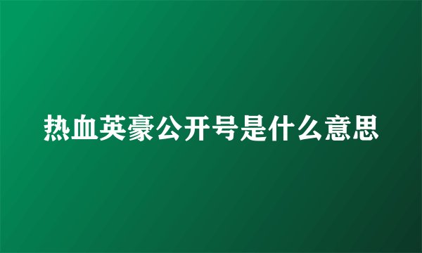 热血英豪公开号是什么意思