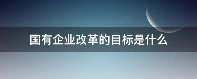 国有企业改革的目标是什么