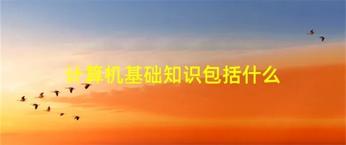 计算机基础知识包括什么