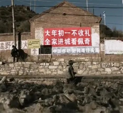 啥是佩奇指的是什么