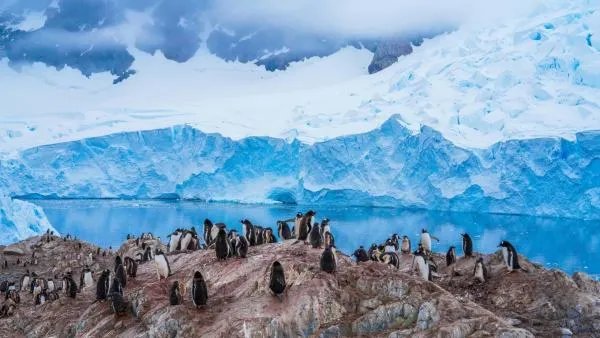 我们为什么要旅行？