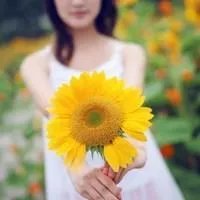 配对的网名和签名