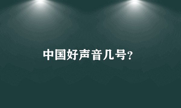 中国好声音几号？