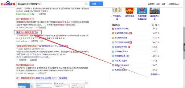 湖南省统计联网直报