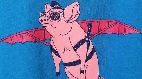 非洲猪瘟人会被感染吗？为什么？