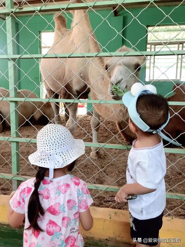 太原哪些地方适合带孩子去玩？