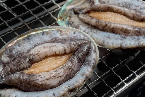 男性养生最需要吃什么食物