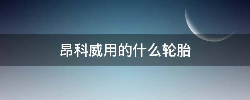昂科威用的什么轮胎