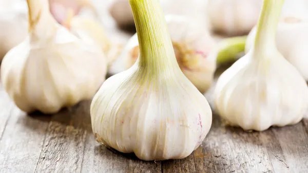 降血脂吃什么好