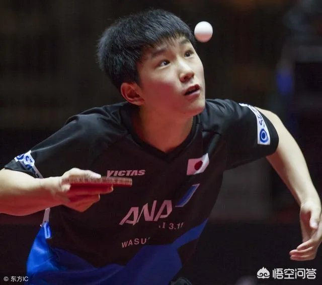 华裔小将张本每天叫嚣要战胜中乒乓球队，却在四强被卡尔完虐，都没有吼叫，你怎么看？
