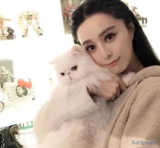 你知道哪些明星，在家养有什么样的宠物呢？