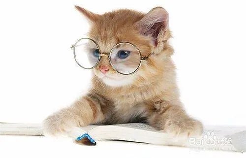 兰州哪家洗浴中心比较好？