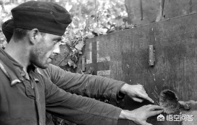 德军的虎王坦克被打爆过吗？有什么记载吗？