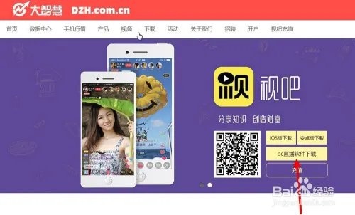 大智慧视吧直播pc电脑版软件哪里能下载？