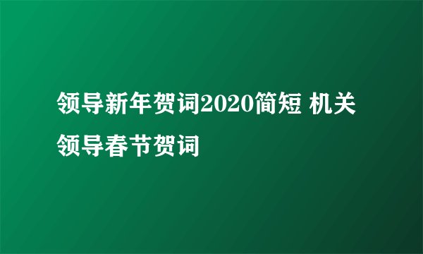领导新年贺词2020简短 机关领导春节贺词