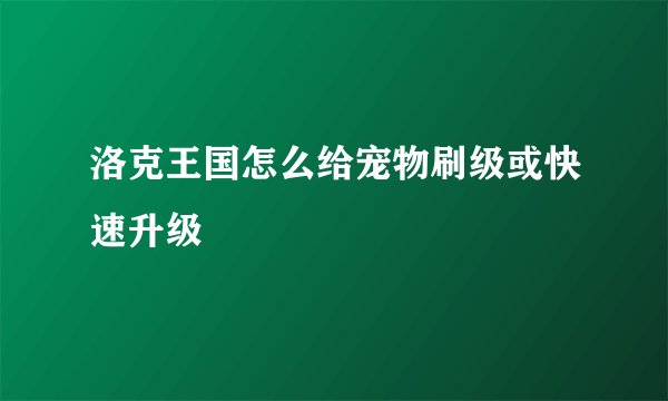 洛克王国怎么给宠物刷级或快速升级