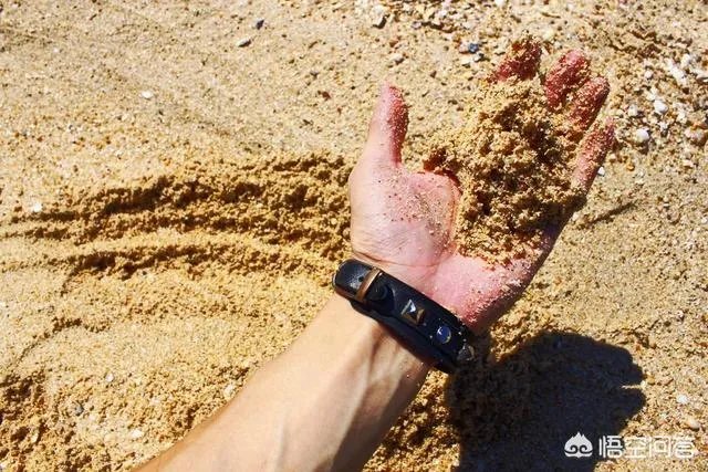 深圳还会有海沙建房吗？海沙建房的后果是什么？