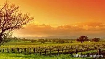 南京鼓励“试行”每周2.5天休息，你怎么看？