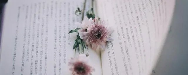 qq个性组名 qq个性组名大全