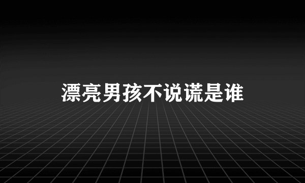 漂亮男孩不说谎是谁