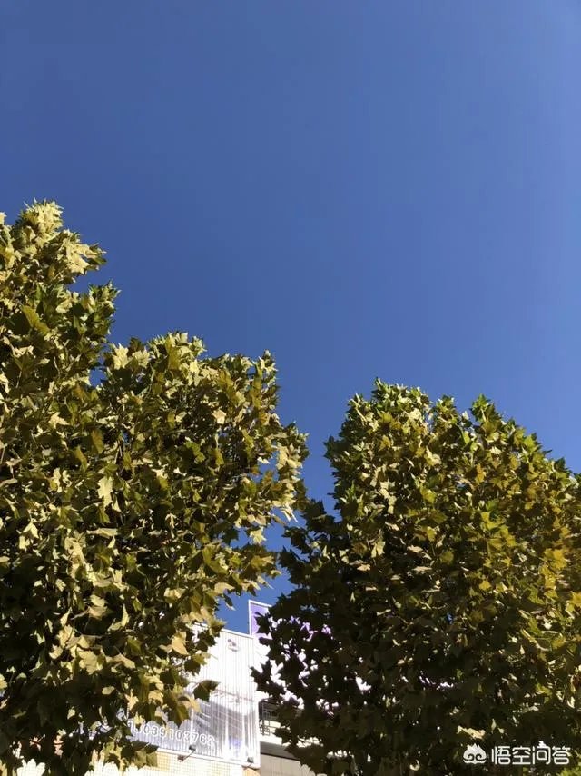 八十多岁的老太太病危，亲人要抢救，但老人叫孩子不要抢救了，你怎么看？