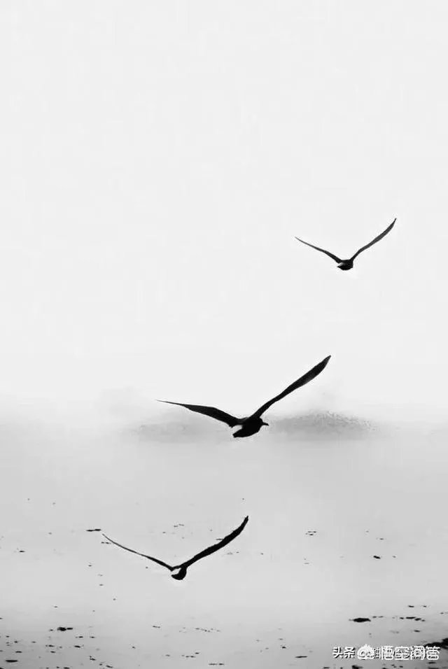 想在上海办个共享自习室，应该怎么着手准备？