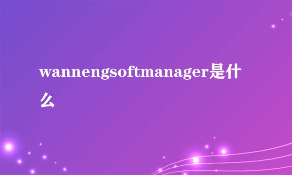 wannengsoftmanager是什么