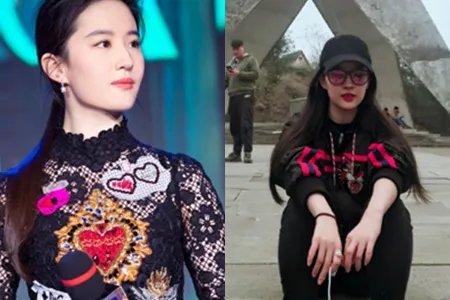 刘亦菲探班好友人缘广  后院收养流浪猫竟多达几十只