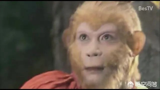 妖怪们辛苦抓到唐僧后，为什么又不急着吃他？