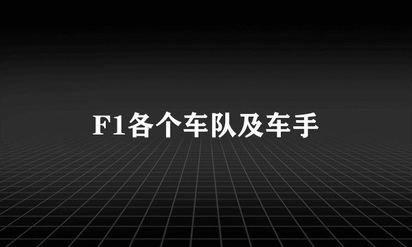 F1各个车队及车手