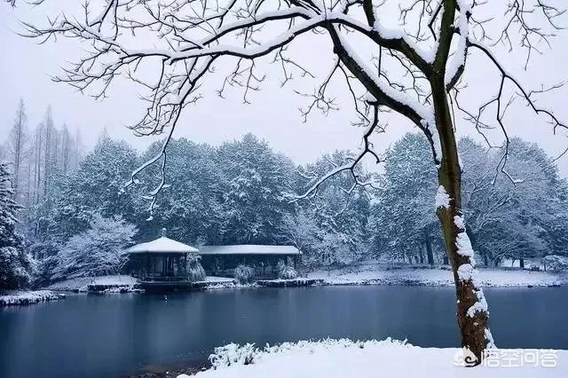 为什么今年广东、杭州都下雪了？