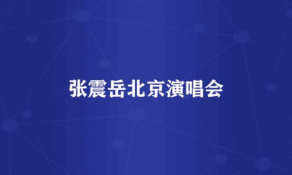 张震岳北京演唱会