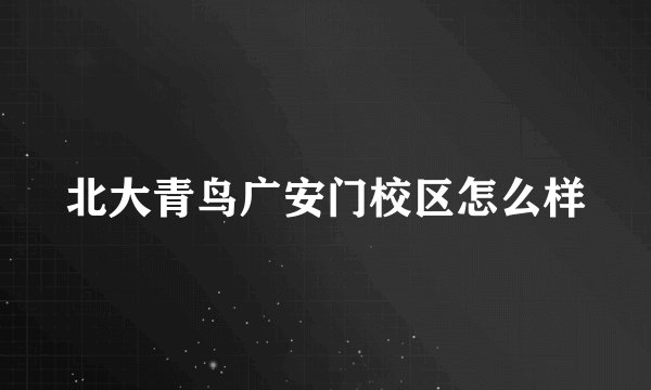 北大青鸟广安门校区怎么样