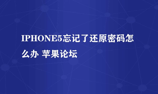 IPHONE5忘记了还原密码怎么办 苹果论坛