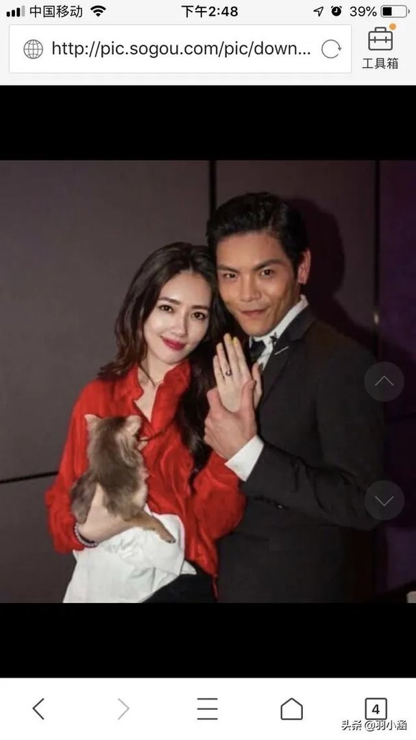 向佐根本不喜欢郭碧婷